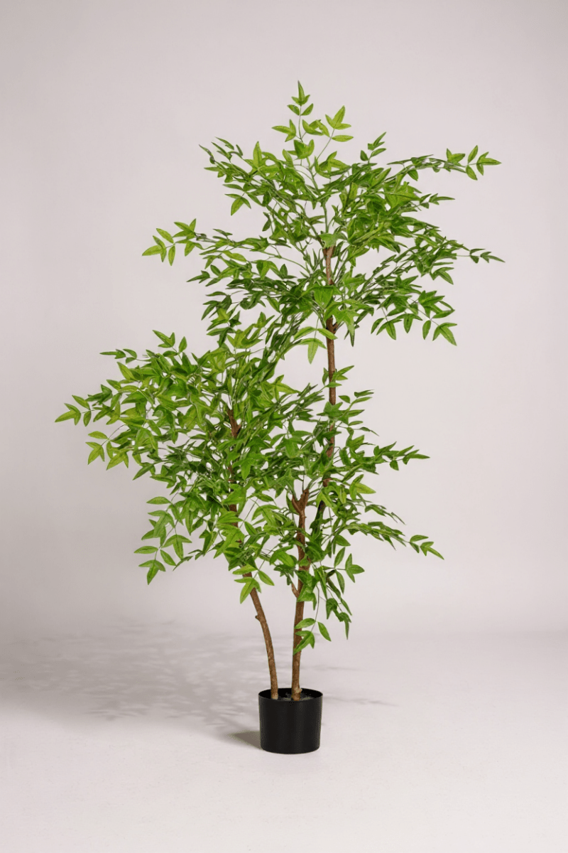 Southern Sky Bamboo (Life - like Artificial) - Potted plant - POTT - SOUT - GRW - 6846 - Tumbleweed Plants - Online Plant Delivery Singapore