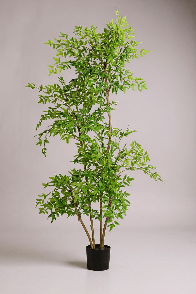 Southern Sky Bamboo (Life - like Artificial) - Potted plant - POTT - SOUT - GRW - 6847 - Tumbleweed Plants - Online Plant Delivery Singapore