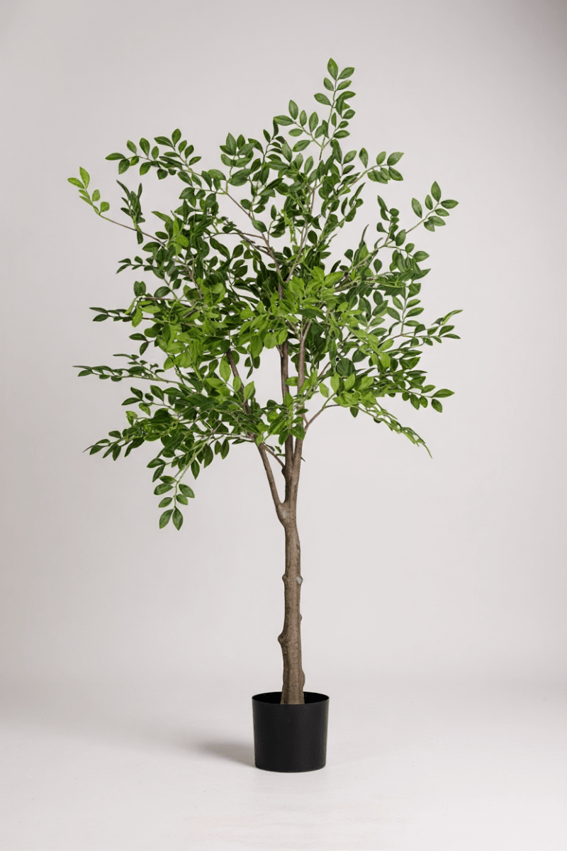 Elm Money Tree (Life - like Artificial) - Potted plant - 5300952242268 - Tumbleweed Plants - Online Plant Delivery Singapore