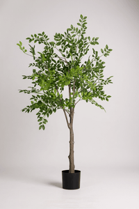 Elm Money Tree (Life - like Artificial) - Potted plant - 5300952242268 - Tumbleweed Plants - Online Plant Delivery Singapore