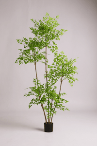 Southern Sky Bamboo (Life - like Artificial) - Potted plant - POTT - SOUT - GRW - 6848 - Tumbleweed Plants - Online Plant Delivery Singapore