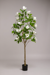 Magnolia Flower Tree (Life-like Artificial) - Potted plant -  Tumbleweed Plants