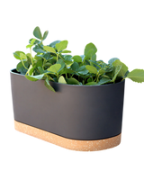 Verdant Rectangle Planter