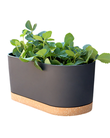 Verdant Rectangle Planter - 40cm / black
