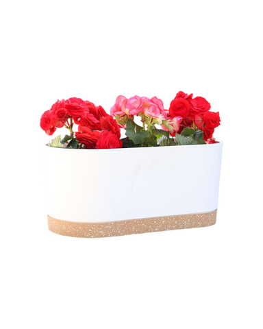 Verdant Rectangle Planter - 40cm / white