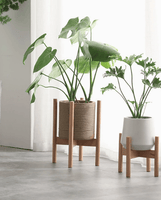 Wooden Plant Stands