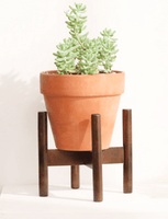 Wooden Plant Stands