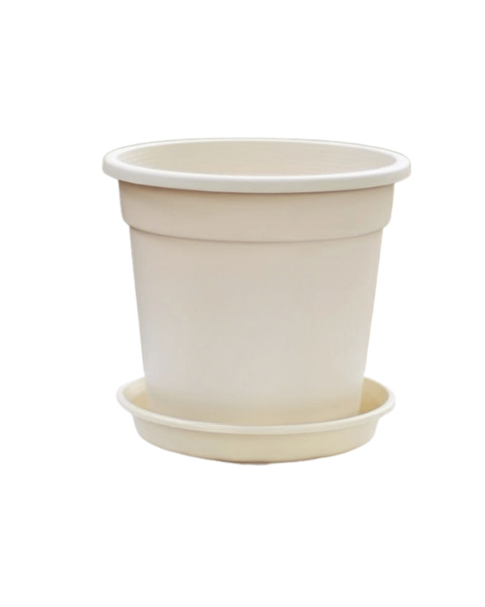 AirLite Growpot - XL - Planter - 5748857433833 - Tumbleweed Plants - Online Plant Delivery Singapore