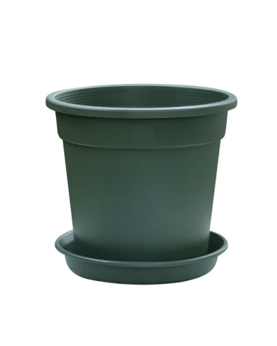 AirLite Growpot - XL - Planter - 5748857433831 - Tumbleweed Plants - Online Plant Delivery Singapore