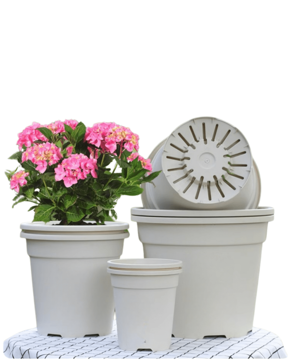 AirLite Growpot - XL - Planter - 5748857433831 - Tumbleweed Plants - Online Plant Delivery Singapore