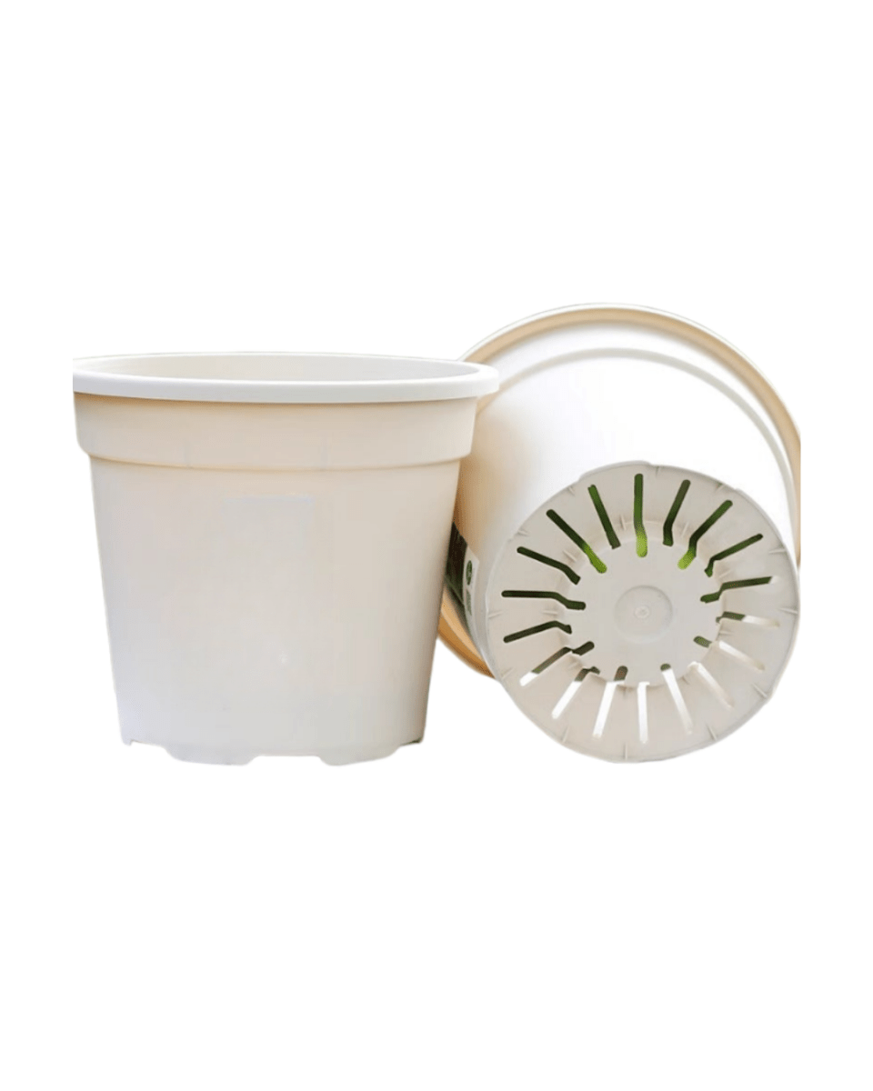 AirLite Growpot - XL - Planter - 5748857433831 - Tumbleweed Plants - Online Plant Delivery Singapore