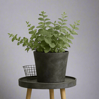 AirStone V Pot - XL - Pots - POTS - XLAI - BLCXTR - 6603 - Tumbleweed Plants - Online Plant Delivery Singapore