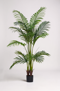 Bamboo Palm (Life-life Artificial) - Potted plant -  Tumbleweed Plants