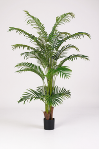 Bamboo Palm (Life-life Artificial) - Potted plant -  Tumbleweed Plants