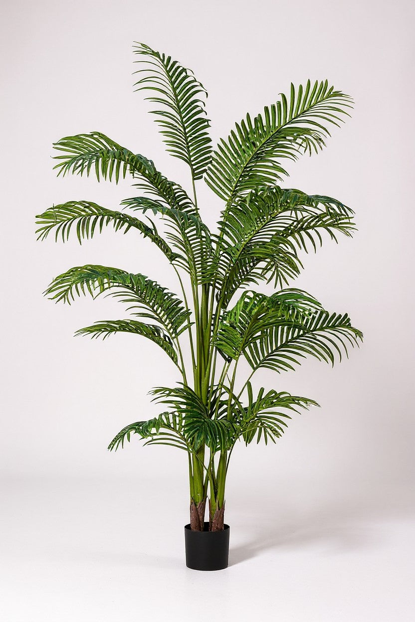 Bamboo Palm (Life-life Artificial) - Potted plant -  Tumbleweed Plants