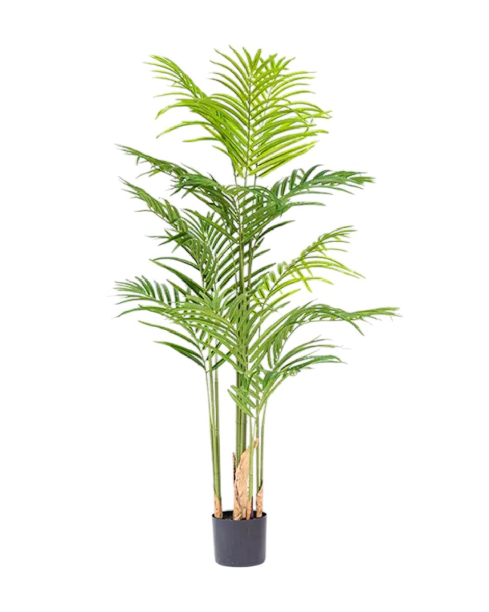 Bamboo Palm (Life - life Artificial) - Potted plant - 5004438217580 - Tumbleweed Plants - Online Plant Delivery Singapore