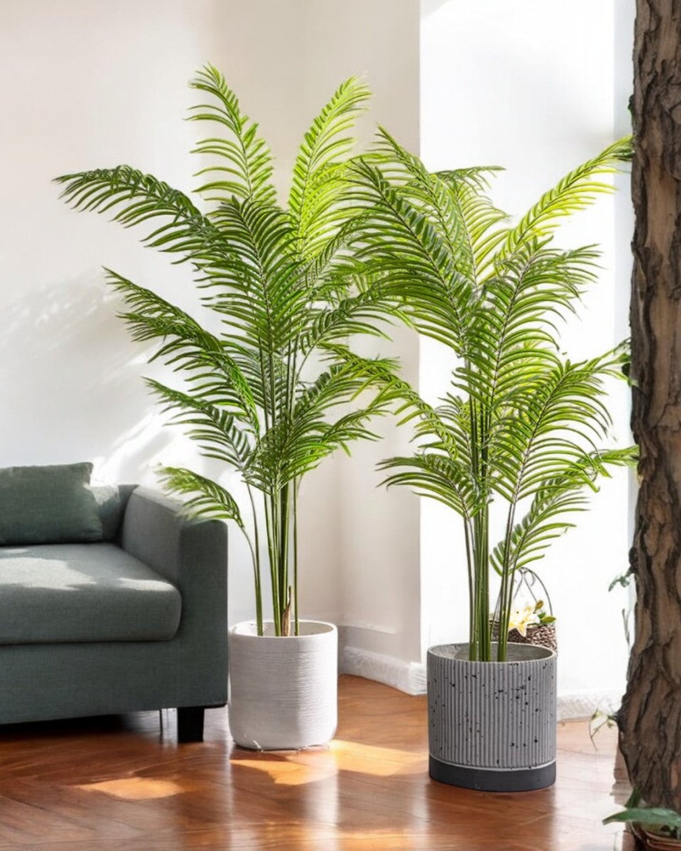 Bamboo Palm (Life - life Artificial) - Potted plant - 5004438217559 - Tumbleweed Plants - Online Plant Delivery Singapore