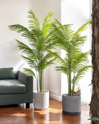 Bamboo Palm (Life - life Artificial) - Potted plant - 5004438217559 - Tumbleweed Plants - Online Plant Delivery Singapore