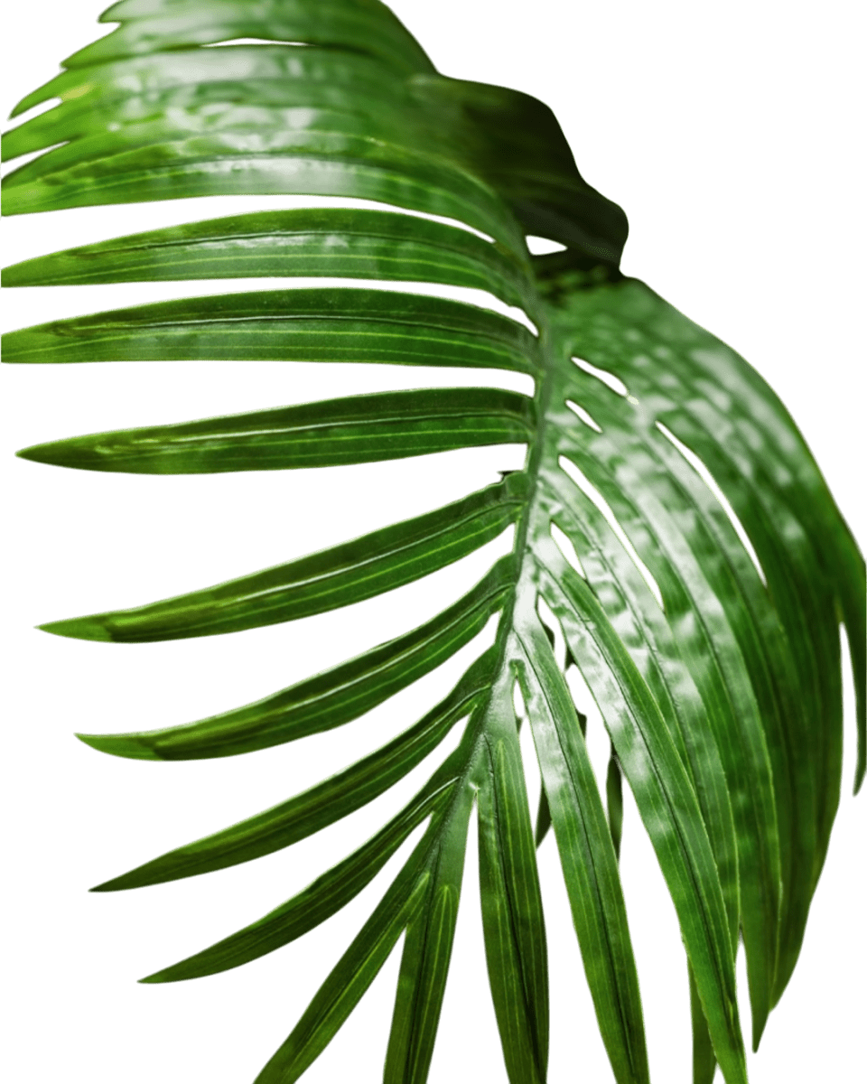 Bamboo Palm (Life - life Artificial) - Potted plant - 5004438217559 - Tumbleweed Plants - Online Plant Delivery Singapore