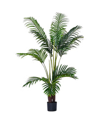 Bamboo Palm (Life - life Artificial) - Potted plant - 5004438217559 - Tumbleweed Plants - Online Plant Delivery Singapore