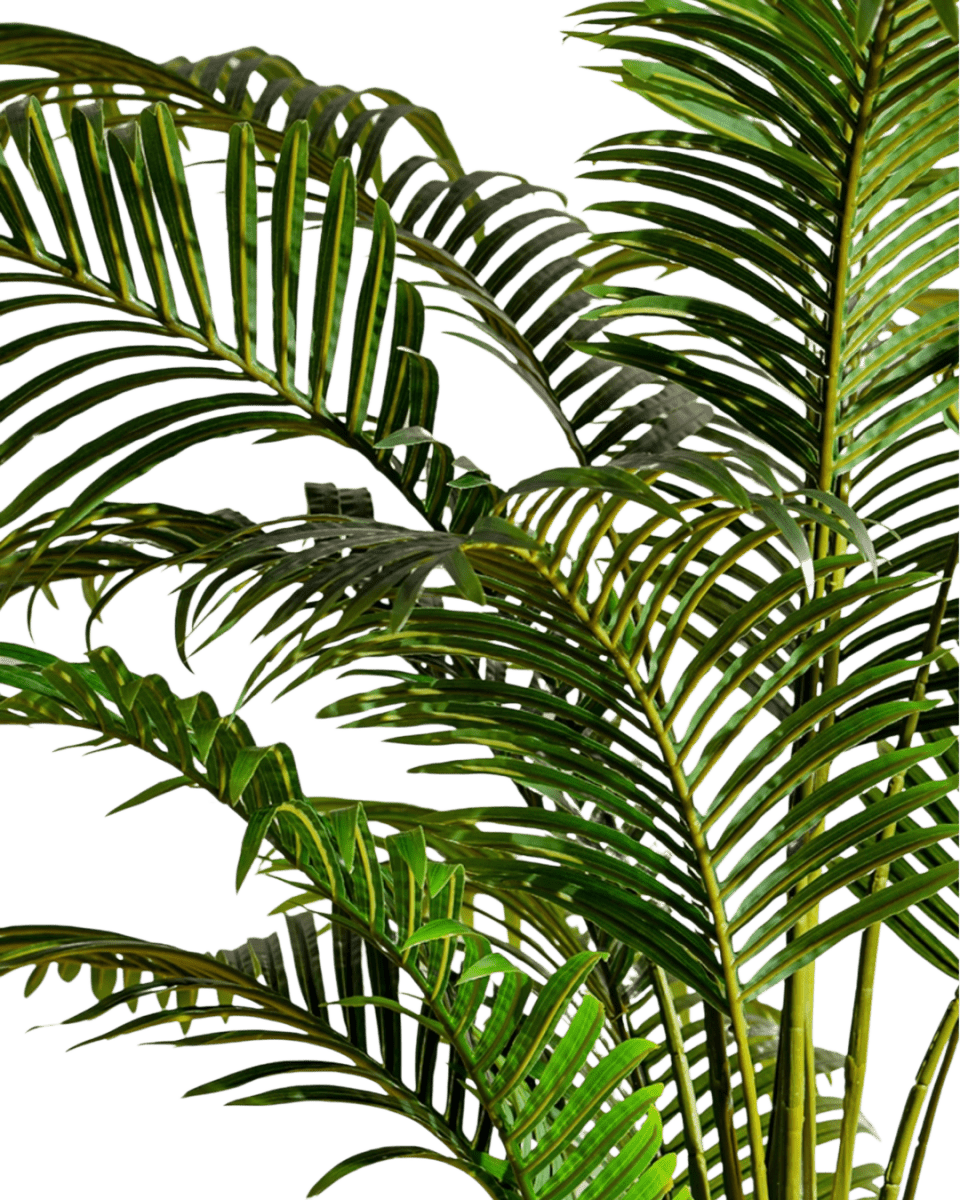 Bamboo Palm (Life - life Artificial) - Potted plant - 5004438217559 - Tumbleweed Plants - Online Plant Delivery Singapore