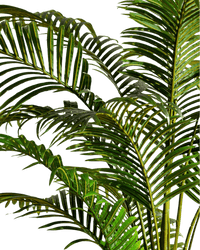 Bamboo Palm (Life - life Artificial) - Potted plant - 5004438217559 - Tumbleweed Plants - Online Plant Delivery Singapore