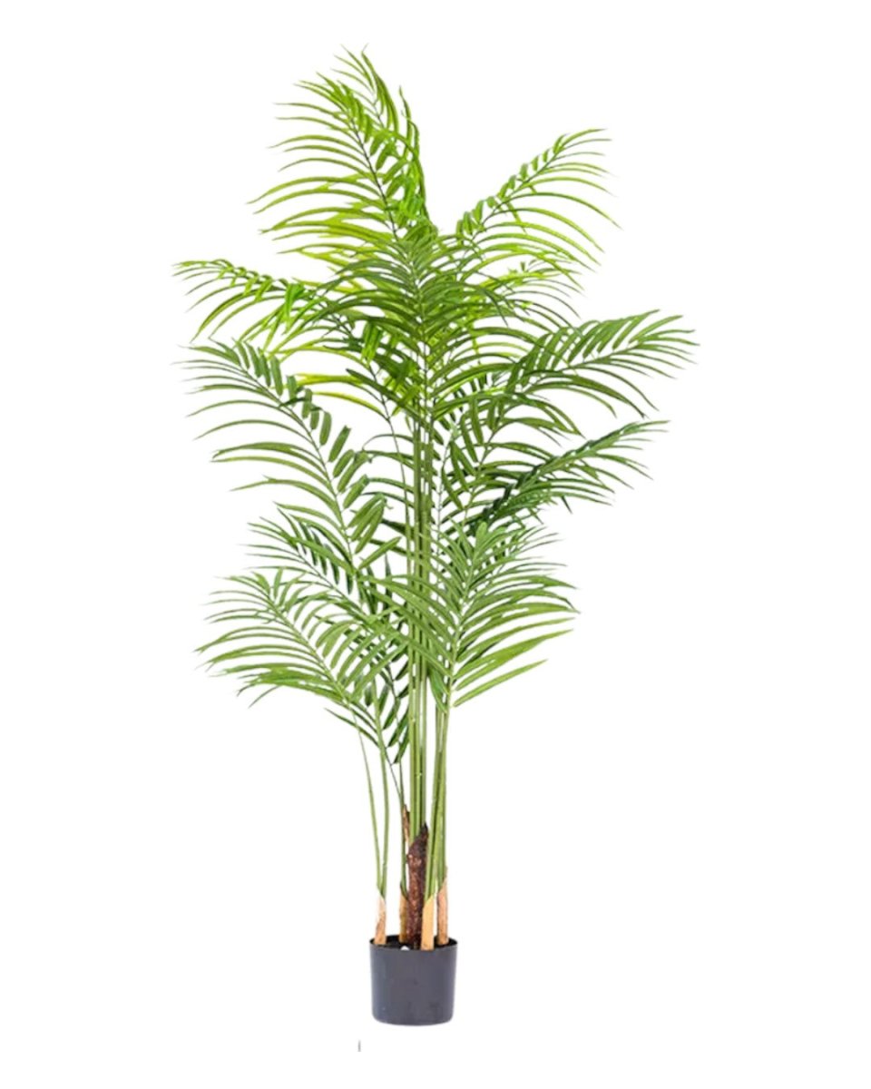 Bamboo Palm (Life - life Artificial) - Potted plant - 5004438217581 - Tumbleweed Plants - Online Plant Delivery Singapore