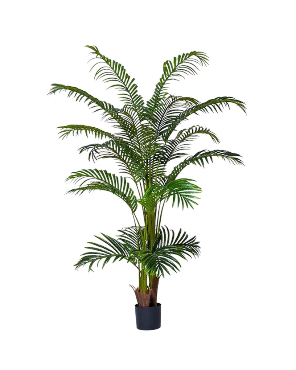 Bamboo Palm (Life - life Artificial) - Potted plant - 5004438217561 - Tumbleweed Plants - Online Plant Delivery Singapore