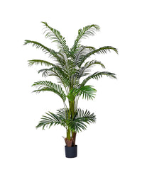 Bamboo Palm (Life - life Artificial) - Potted plant - 5004438217561 - Tumbleweed Plants - Online Plant Delivery Singapore