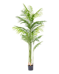 Bamboo Palm (Life - life Artificial) - Potted plant - 5004438217582 - Tumbleweed Plants - Online Plant Delivery Singapore