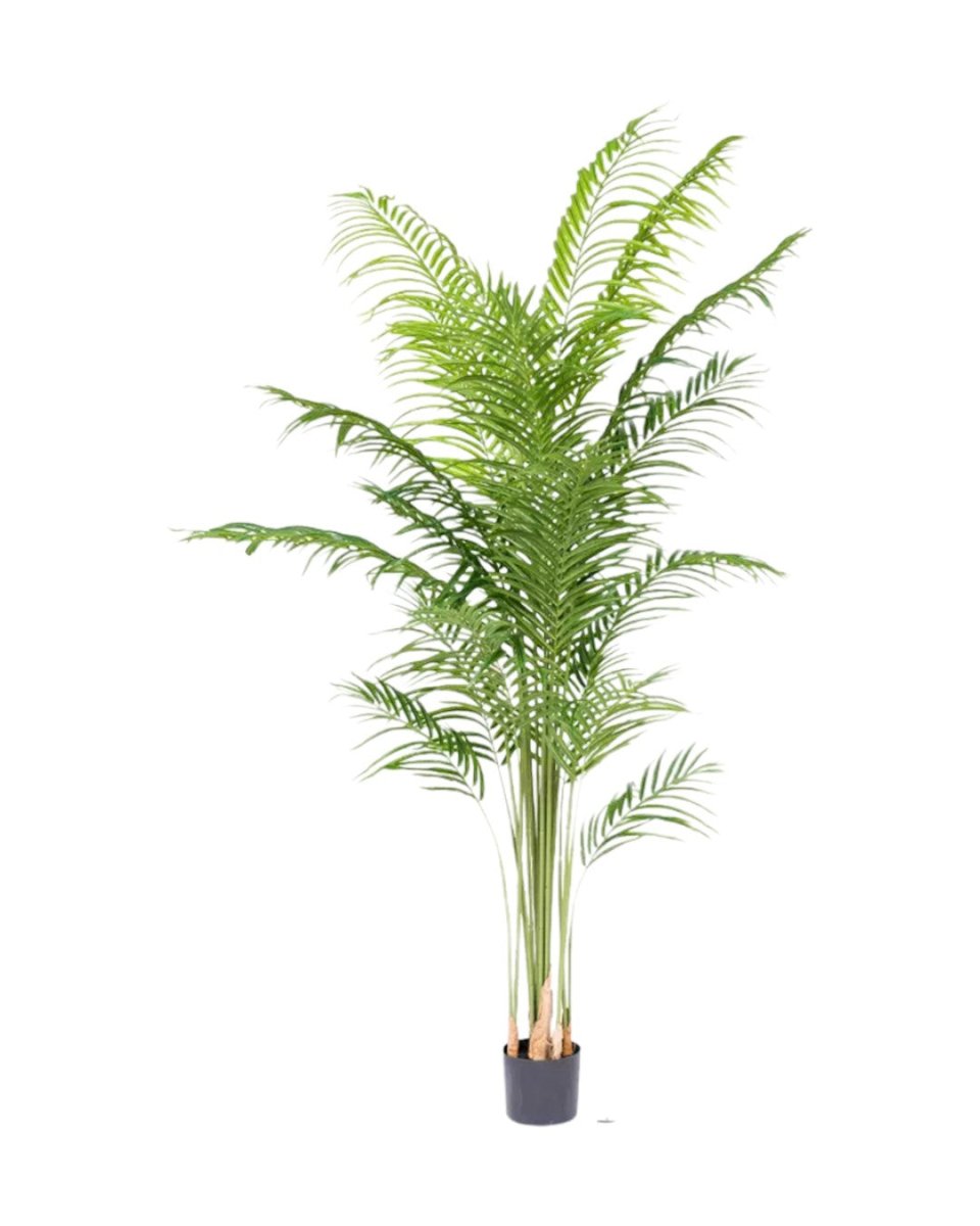 Bamboo Palm (Life - life Artificial) - Potted plant - 5004438217583 - Tumbleweed Plants - Online Plant Delivery Singapore