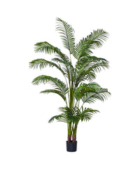 Bamboo Palm (Life - life Artificial) - Potted plant - 5004438217562 - Tumbleweed Plants - Online Plant Delivery Singapore