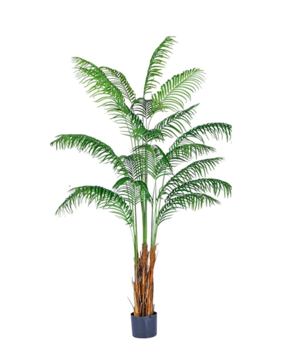 Bamboo Palm (Life - life Artificial) - Potted plant - 5004438217588 - Tumbleweed Plants - Online Plant Delivery Singapore