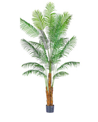 Bamboo Palm (Life - life Artificial) - Potted plant - 5004438217589 - Tumbleweed Plants - Online Plant Delivery Singapore