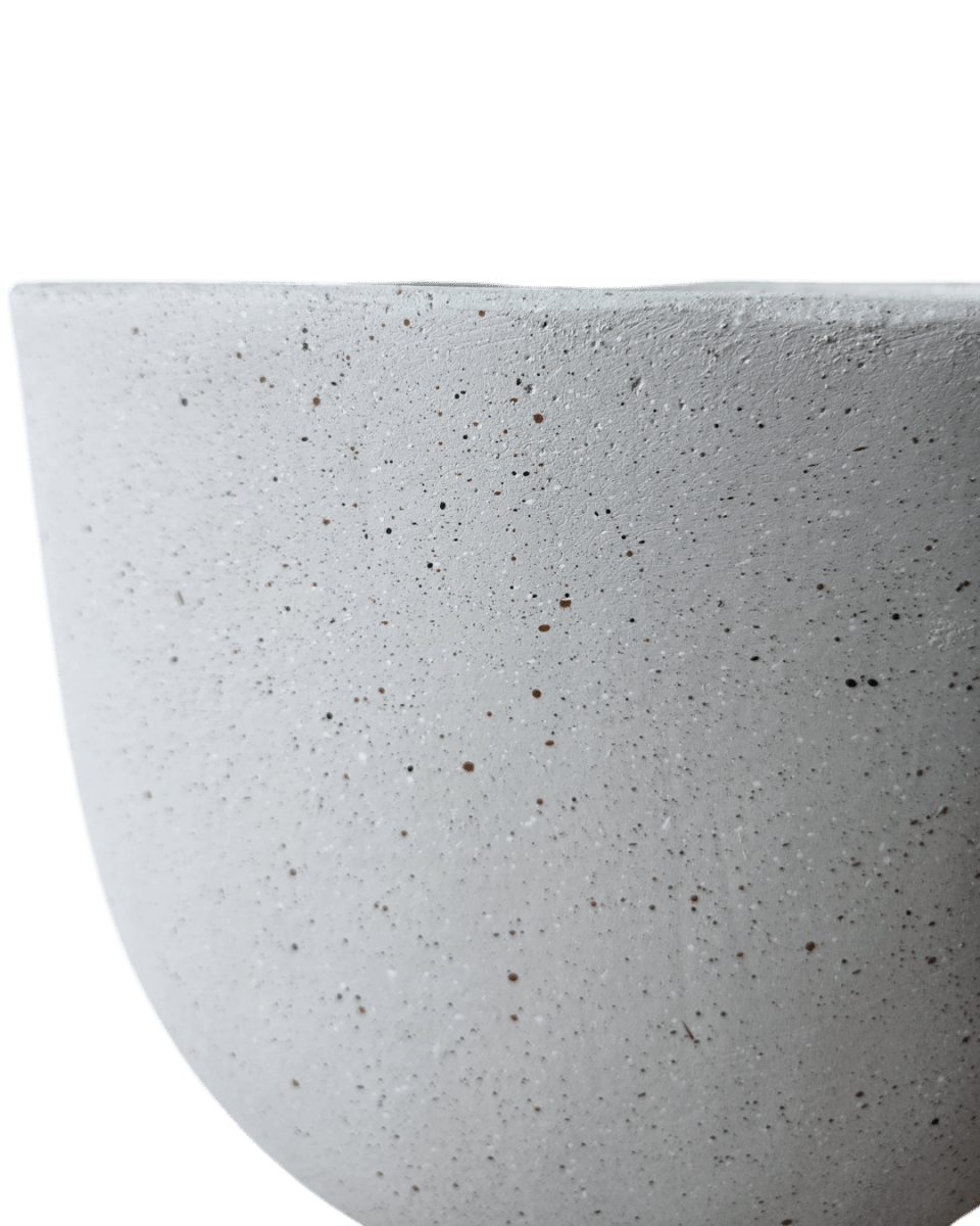 Basso Planter - Planter - 4754535109639 - Tumbleweed Plants - Online Plant Delivery Singapore