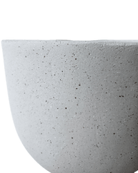 Basso Planter - Planter - 4754535109639 - Tumbleweed Plants - Online Plant Delivery Singapore