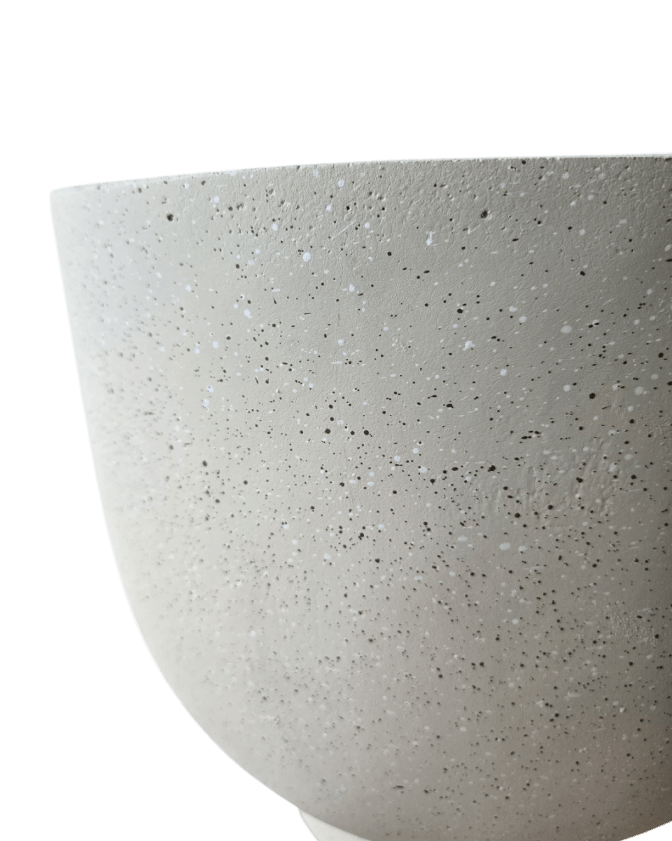 Basso Planter - Planter - 4754535109639 - Tumbleweed Plants - Online Plant Delivery Singapore