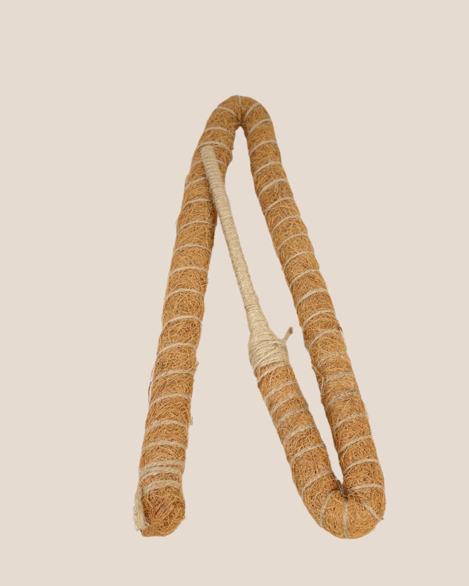 Bendable Mosspole - 60cm - Pot - Tumbleweed Plants - Online Plant Delivery Singapore