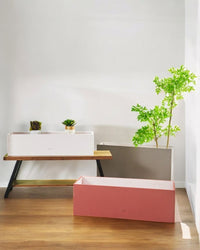 Blumora Planter Box - Pots - 4788324401142 - Tumbleweed Plants - Online Plant Delivery Singapore