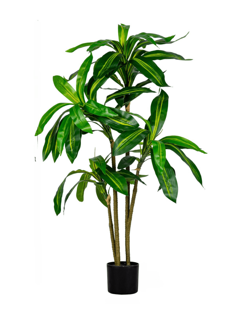 Brazil Iron Tree (Life - life Artificial) - Potted plant - 5364668702504 - Tumbleweed Plants - Online Plant Delivery Singapore