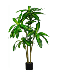 Brazil Iron Tree (Life - life Artificial) - Potted plant - 5364668702504 - Tumbleweed Plants - Online Plant Delivery Singapore