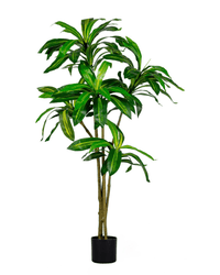 Brazil Iron Tree (Life - life Artificial) - Potted plant - 5364668702508 - Tumbleweed Plants - Online Plant Delivery Singapore