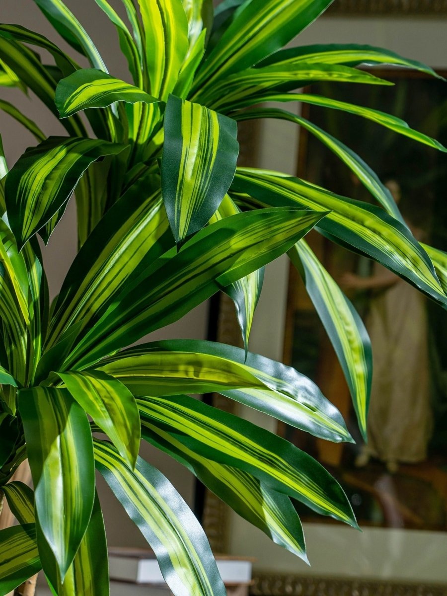 Brazil Iron Tree (Life - life Artificial) - Potted plant - 5364668702508 - Tumbleweed Plants - Online Plant Delivery Singapore