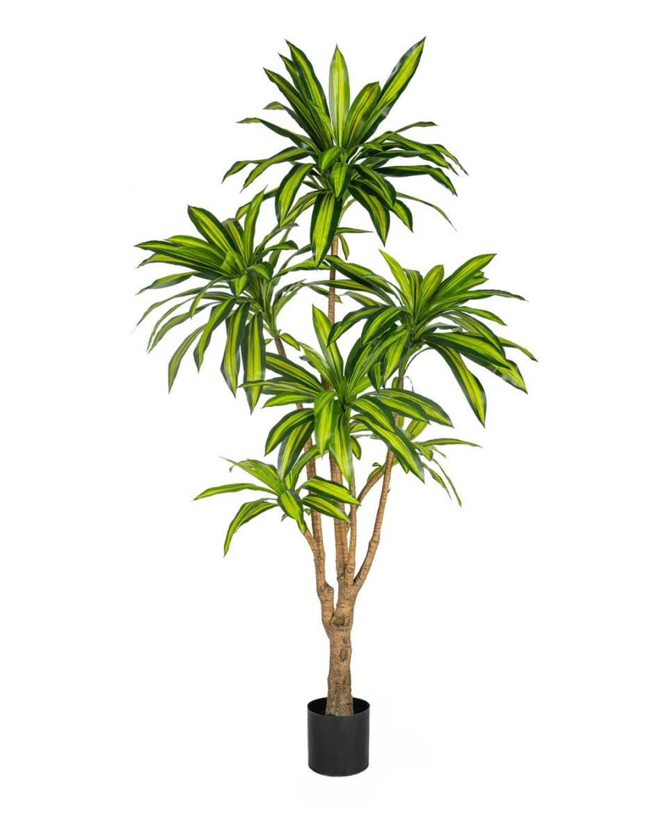 Brazil Iron Tree (Life - life Artificial) - Potted plant - 5364668702501 - Tumbleweed Plants - Online Plant Delivery Singapore