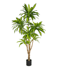 Brazil Iron Tree (Life - life Artificial) - Potted plant - 5364668702501 - Tumbleweed Plants - Online Plant Delivery Singapore