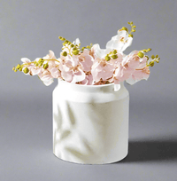 Canister Planter XXL - Pots - 4308447740320 - Tumbleweed Plants - Online Plant Delivery Singapore