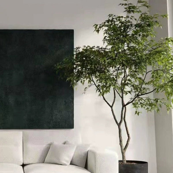 China Doll Tree - Real - Trunk Artificial - Potted plant - 5516314535781 - Tumbleweed Plants - Online Plant Delivery Singapore