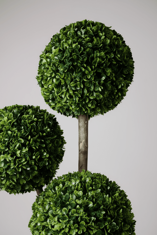 Ball Tree - Real - Trunk Artificial - Potted plant - 5516314535781 - Tumbleweed Plants - Online Plant Delivery Singapore