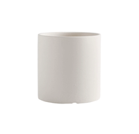 Cylinder Pot - Small - Planter - PLAN - CYLI - CMCRM - 7309 - Tumbleweed Plants - Online Plant Delivery Singapore