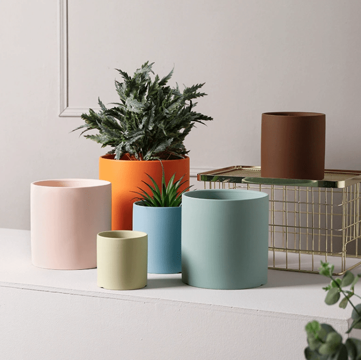 Cylinder Pot - Small - Planter - 4763524261541 - Tumbleweed Plants - Online Plant Delivery Singapore